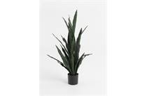 Coco Maison Sansevieria kunstplant H115cm 